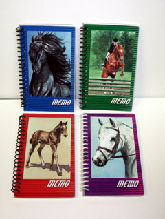 Small Horse Notebooks